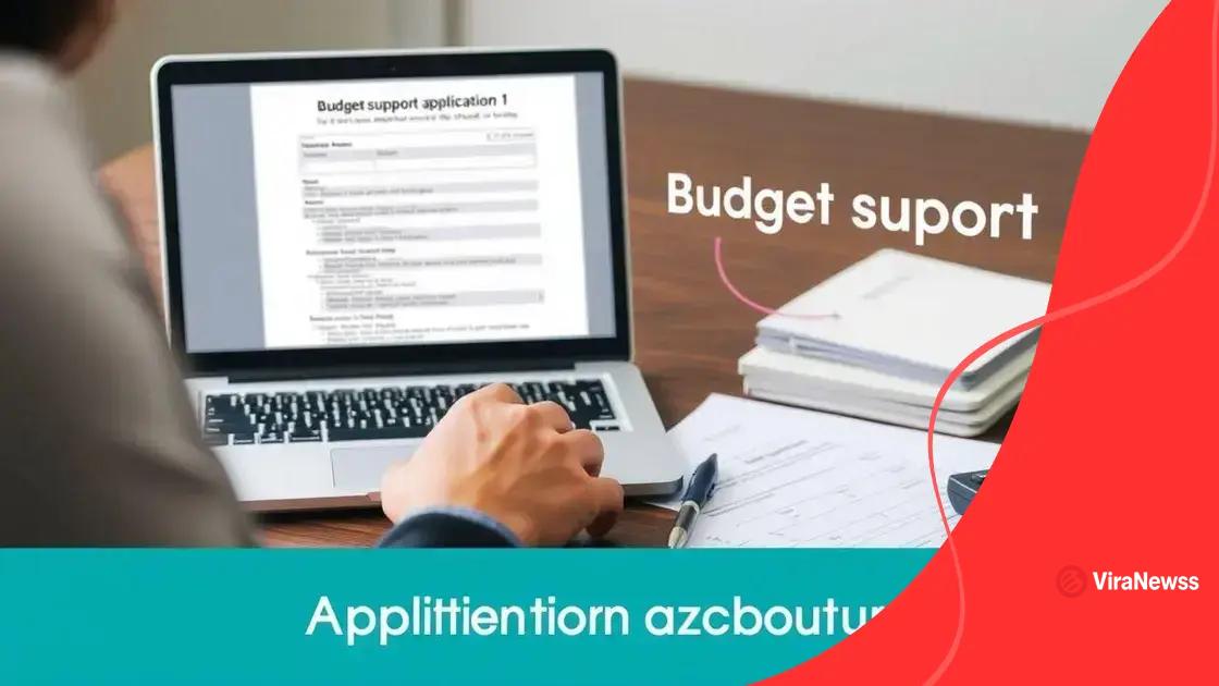 How to apply for budget support